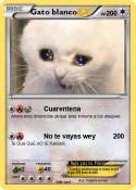 Gato blanco