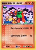 GOKU INDU DE