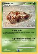 Caracol cono