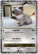 kora
