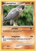 falco