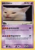 gato blanco