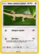 Geko casero
