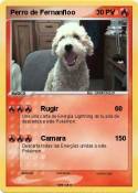 Perro de