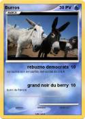 Burros Burros