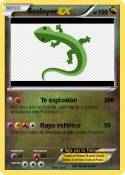 Suslayer