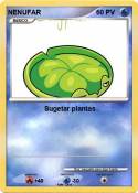 NENUFAR