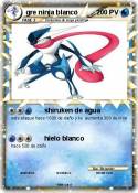 gre ninja