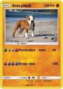 Bebe pitbull Bebe pitbull