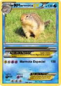 Marmota