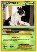 VEDER