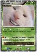 gato rarito