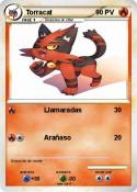 Torracat