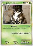 gatito roquero