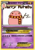 HARRY POTATO