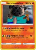 perro