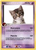Gato