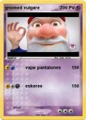 gnomed vulgare