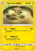 Chico de campo