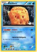 Porifera