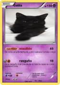 Gatita