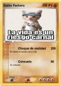 Gatito Fachero