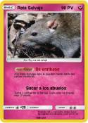 Rata Salvaje