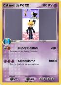 Cat noir de PK XD Cat noir de PK