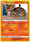 Gato tigre