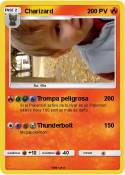 Charizard Charizard