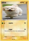 bellota