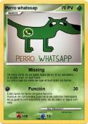 Perro whatssap
