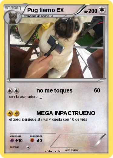 Pokemon Pug tierno EX