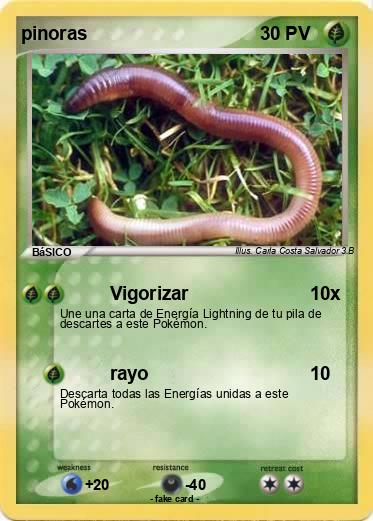 Pokemon pinoras