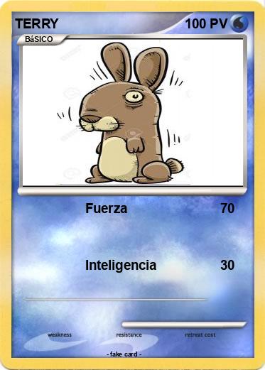 Pokemon TERRY