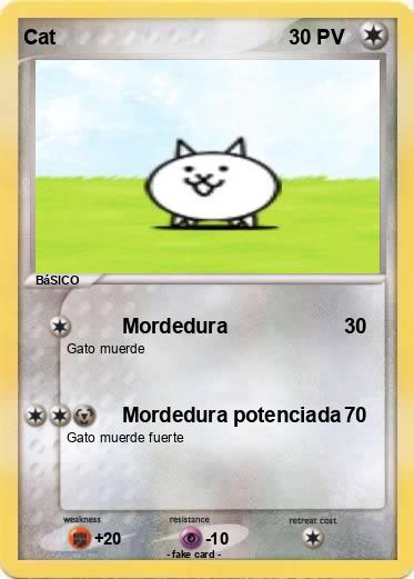 Pokemon Cat