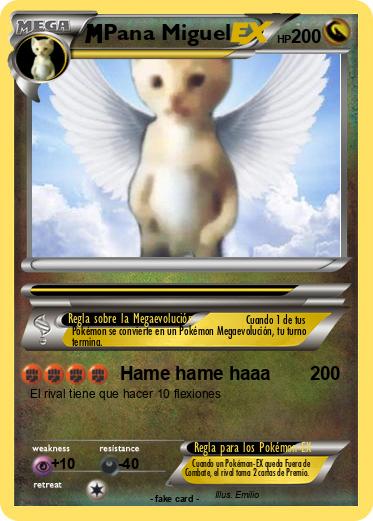 Pokemon Pana Miguel