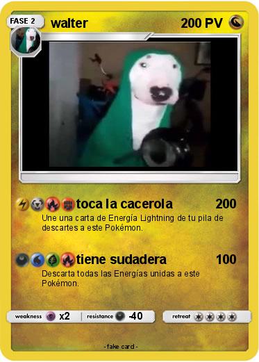 Pokemon walter