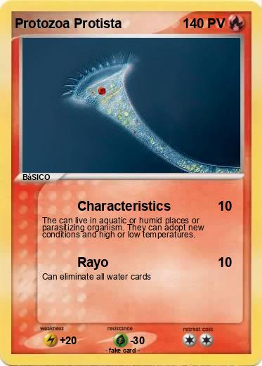 Pokemon Protozoa Protista