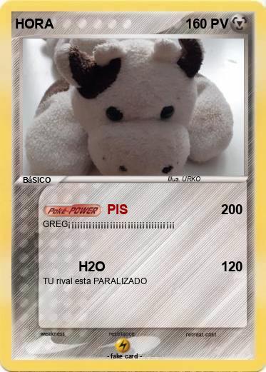 Pokemon HORA