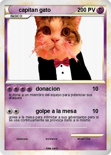 Pokemon capitan gato