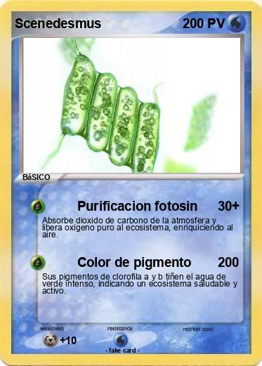 Pokemon Scenedesmus