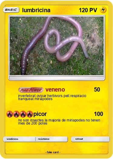 Pokemon lumbricina