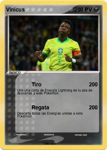 Pokemon Vinicus