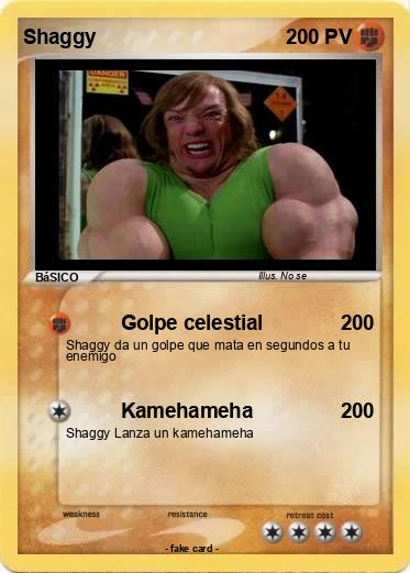Pokemon Shaggy