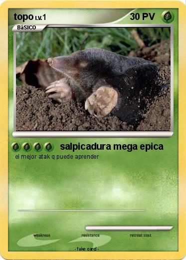 Pokemon topo