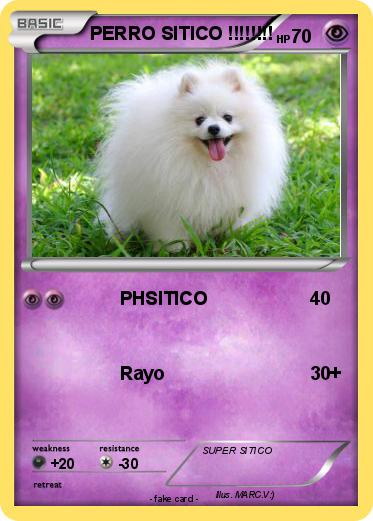 Pokemon PERRO SITICO !!!!!!!!