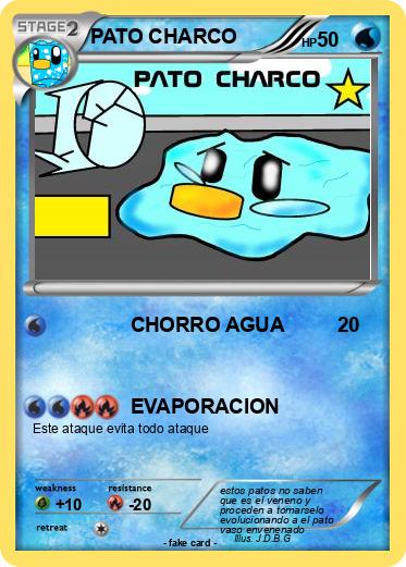 Pokemon PATO CHARCO