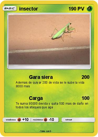 Pokemon insector