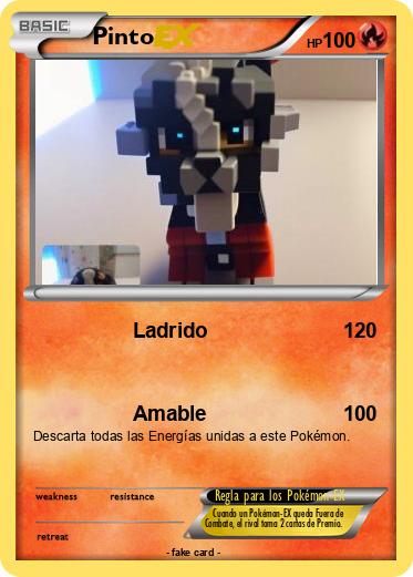 Pokemon Pinto